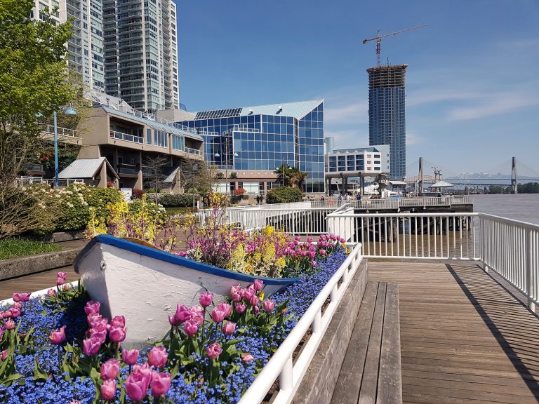 A waterfront scene features vibrant flowers in a wooden planter, with modern buildings in the background and a blue sky. A smiling face icon is superimposed above the scenery.