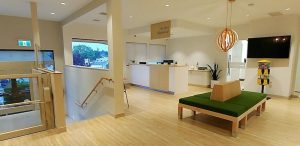Cedar Tree Dental
