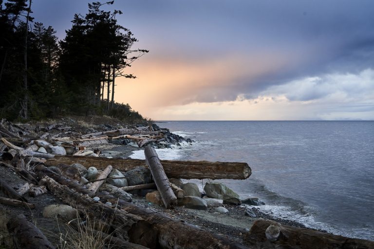 A calm beach scene with logs scattered on the shore, a serene sea, and a sunset sky. A large, blue smiling face is superimposed on the right side, reflecting in the water.