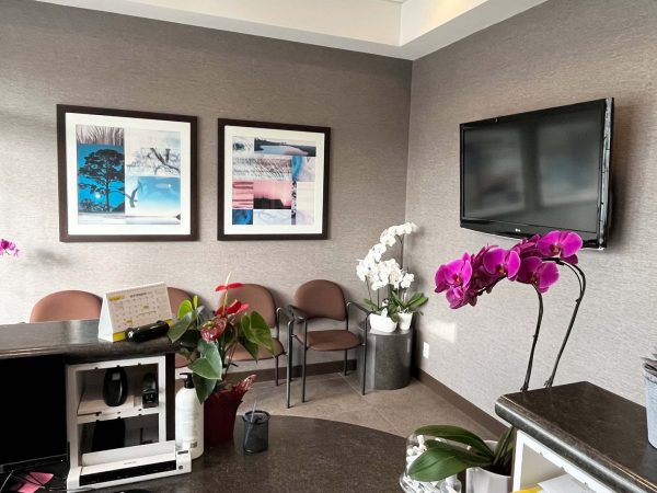 North Shore Dental Group