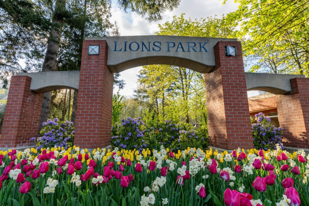 Entrance arch of Lions Park surrounded by vibrant tulips and trees. Find a dentist near you for a healthy smile.